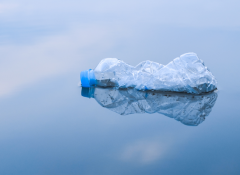 A crumpled plastic water bottle floats in some water