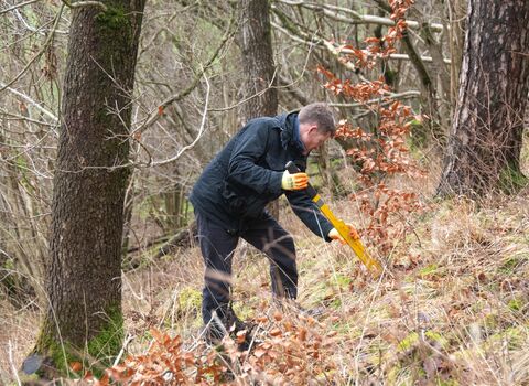 Grass Wood Coppicing Task Day - Sara Spillett