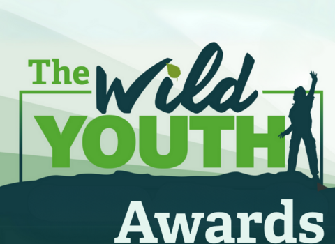 "The Wild Youth Awards" logo featuring green text on a stylized outdoor backdrop, with a silhouetted figure standing atop a hill with arms raised."