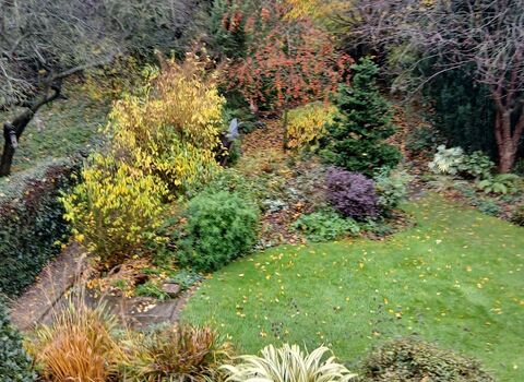 a wildlife friendly garden showing a lawn with many different coloures buished plants and trees in a well established garden