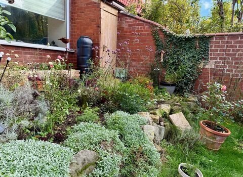 wildlife garden at the front of a house