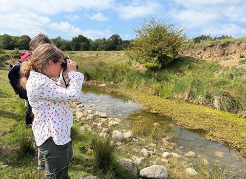 A person in a white patterned shirt holds binoculars to their eyes, looking into a small stream filled with green aquatic plants.
