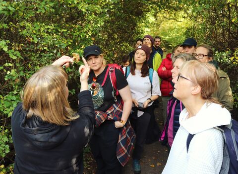 Group of people looking at a fungi
