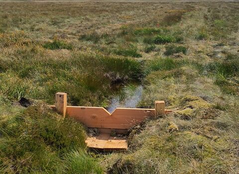 Wooden dam constructed in a boggy landscape with a stream flowing through it, under a partly cloudy sky.