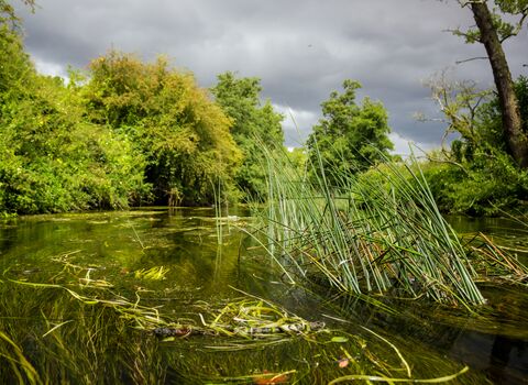 River Rush