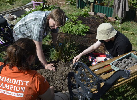 Three individuals are gardening in a sunny outdoor plot, with one person in an orange shirt facing away from the camera, and two others kneeling and reaching into the soil.