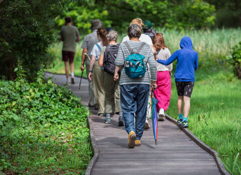 A group of people walk away from the camera along the new boardwalk, with greenery on either side.