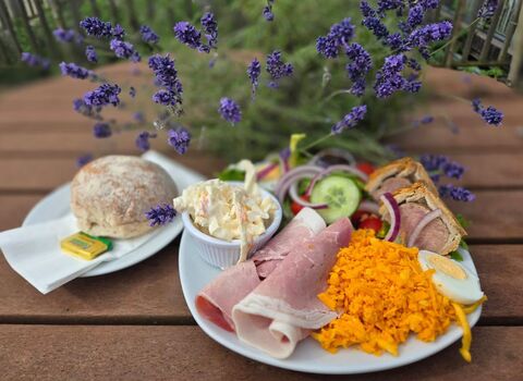 Plate of food including ham, colesaw  