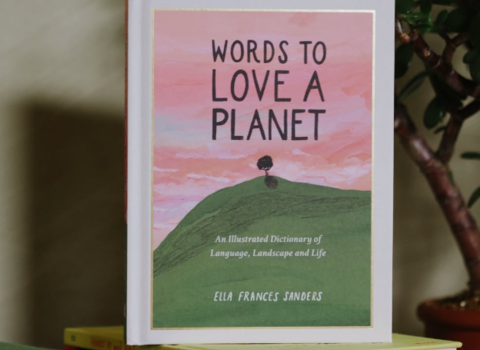 A book titled "Words to Love a Planet: An Illustrated Dictionary of Language, Landscape and Life" by Ella Frances Sanders is displayed on a stack of books.