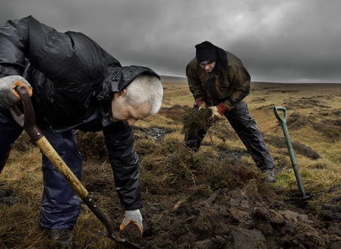 Two  volunteers working on a moorland