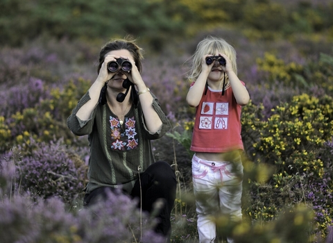 Family bird watching on heathland in summer Suffolk Sandlings - David Tipling/2020VISION