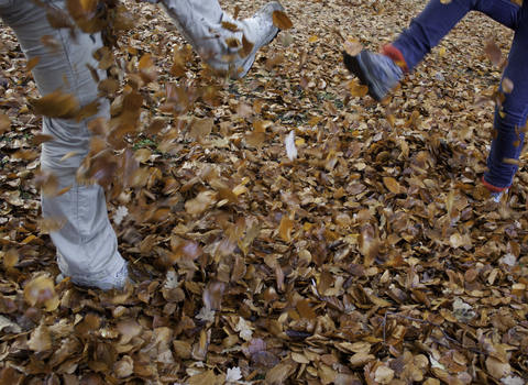 Two people kicking autumn leaves